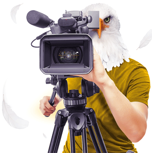 svd productions